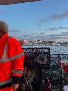 hummerpremiär 2025, knippla hamn