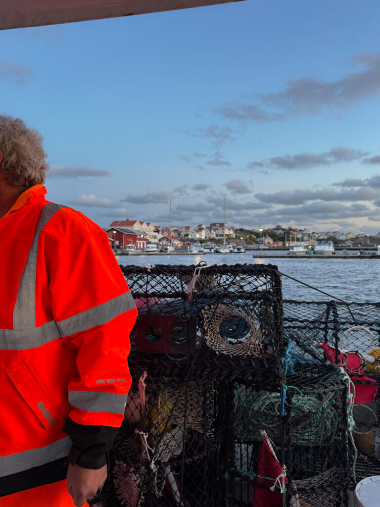 Årets hummerpremiär 2025, Knippla hamn