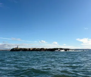 stora oset fyr, himmel, hav, hummerfiske