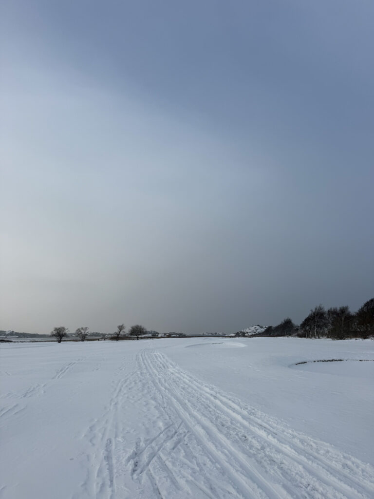 När snön kommer ger jag mig ut på golfbanan, hamra, vallda, skidspår