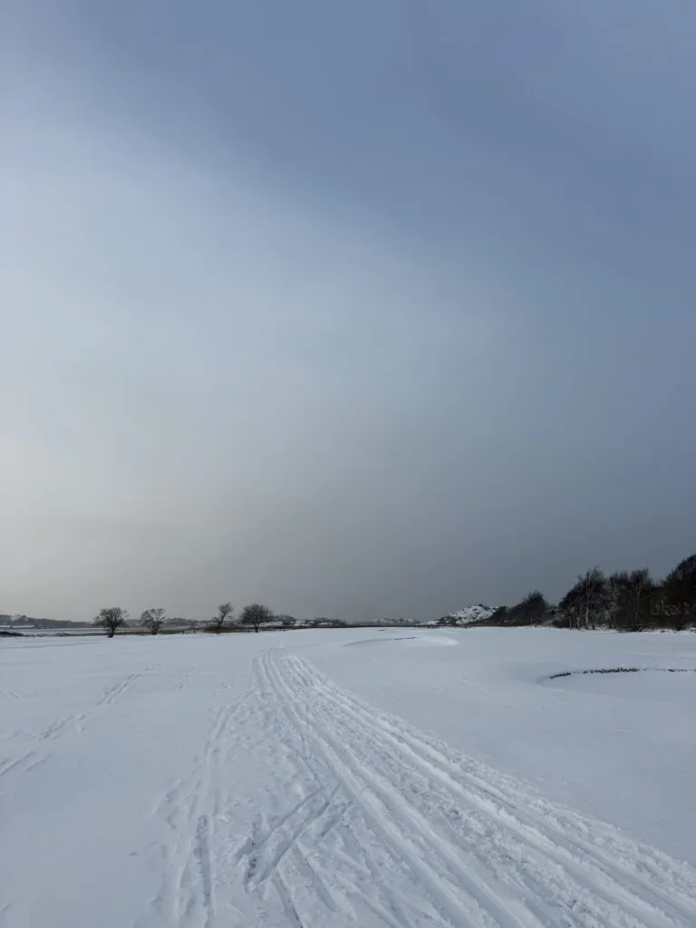 När snön kommer ger jag mig ut på golfbanan, hamra, vallda, skidspår