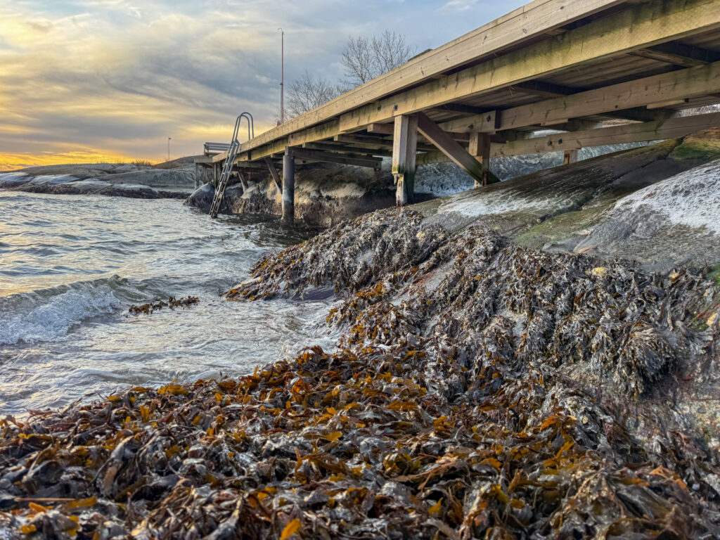 vad är det med den här kylan, soluppgång, knippla badplats, lågvatten, tång