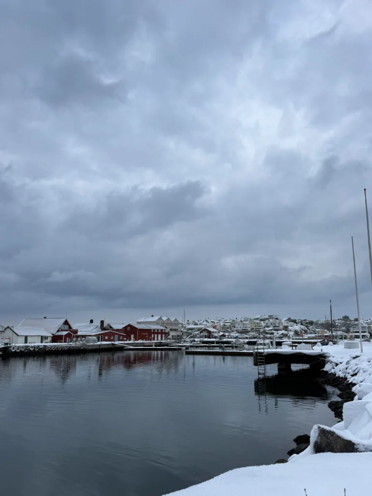 vinter, knippla gästhamn