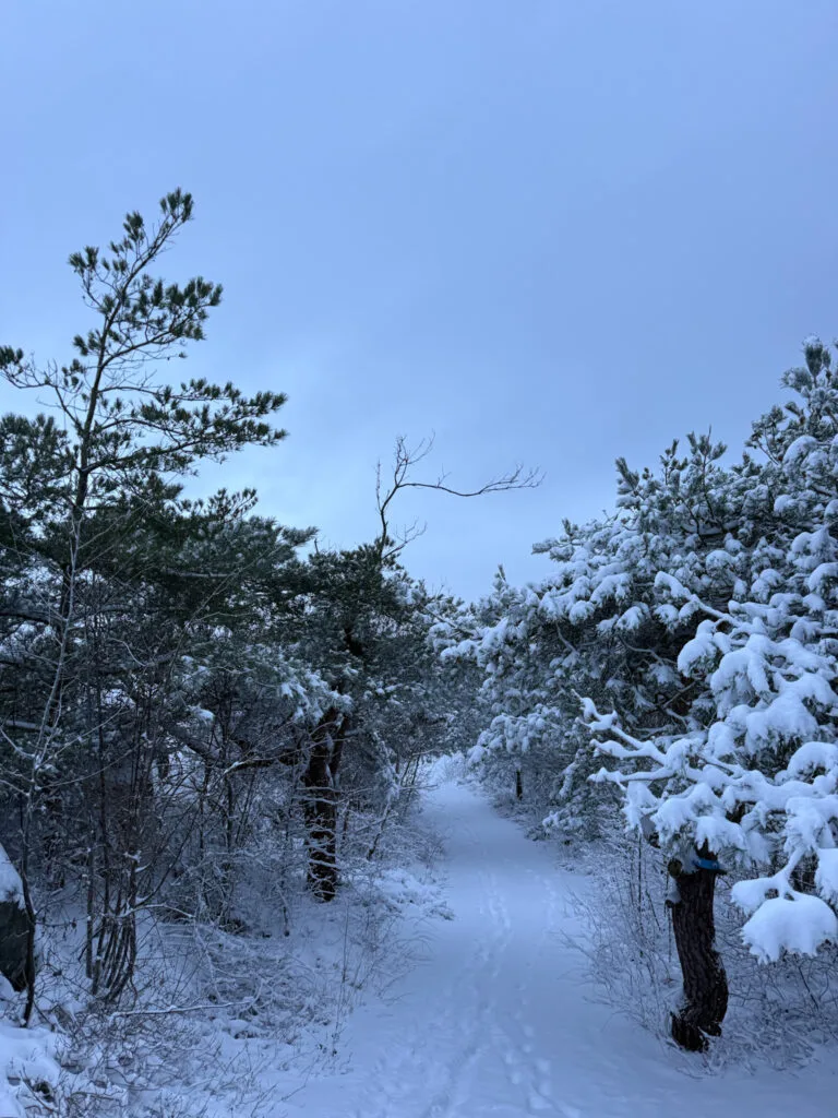 ö i snö, knippla, slingan