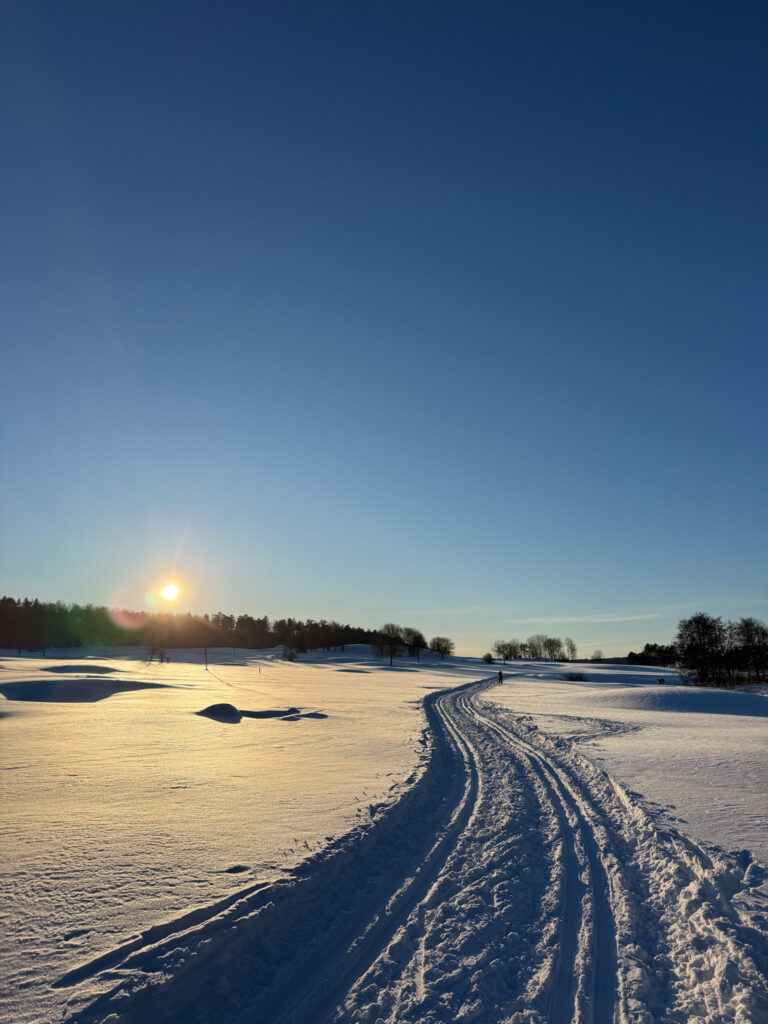 Forsgården, golfbana, skidspår, snö, sol