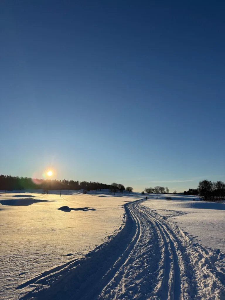 Forsgården, golfbana, skidspår, snö, sol
