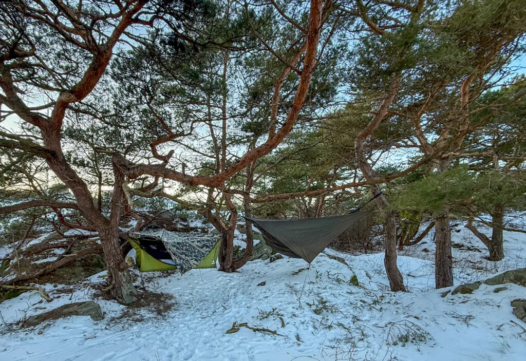 kallaste natten i hängmattan, snö, hängmattor, tallar, knippla