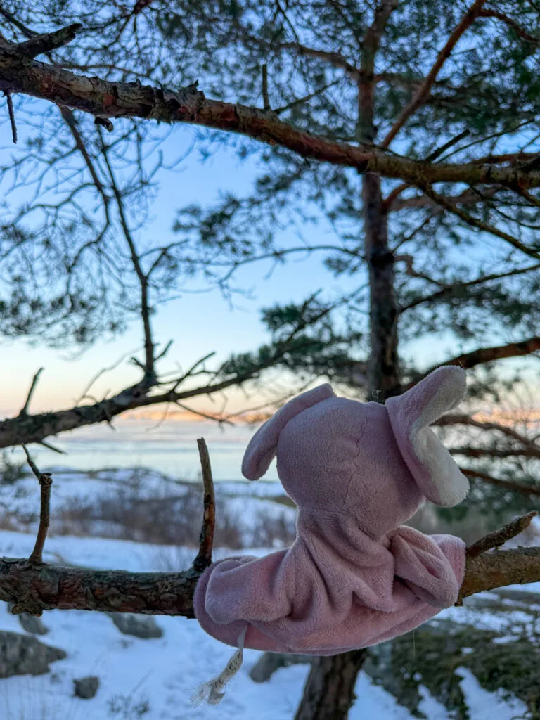rosa elefanten coola M, utsikt, knippla