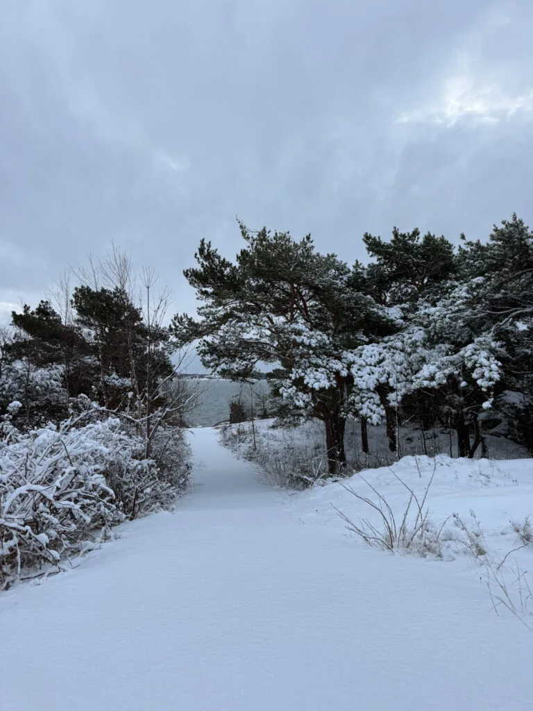 orörd snö, knippla, västkusten, ö-liv