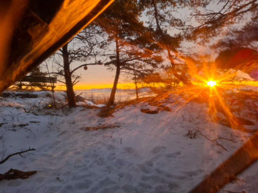 en utenatt i månaden, soluppgång, snö, knippla