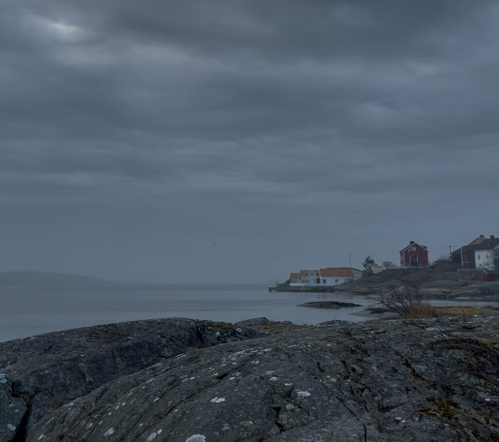 en ovanligt vanlig dag, knippla, morgondimma
