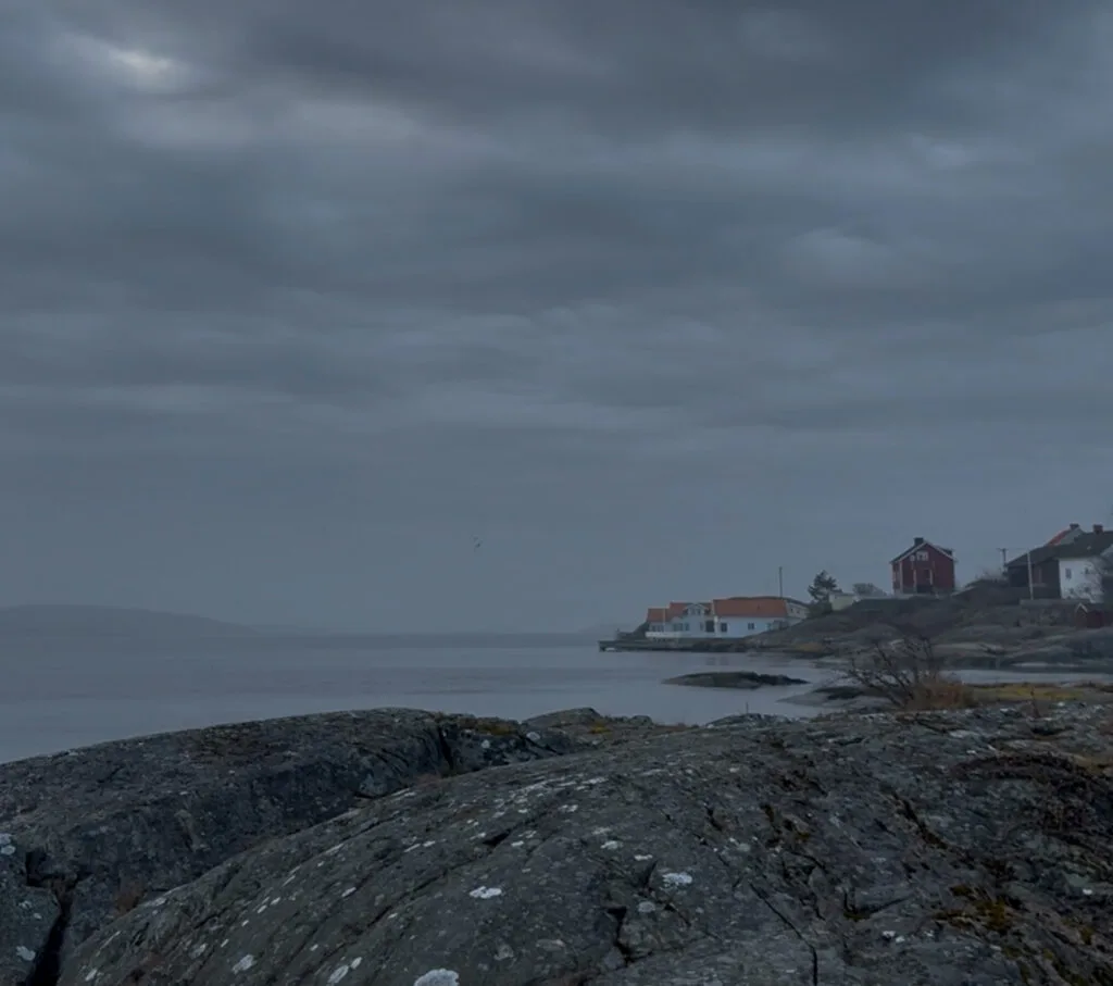 en ovanligt vanlig dag, knippla, morgondimma